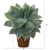 Silver Aglonema Artificial Plant in Basket (Real Touch)