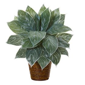 Silver Aglonema Artificial Plant in Basket (Real Touch)