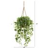 Wandering Jew Plant in Hanging Basket (Real Touch)