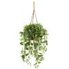 Wandering Jew Plant in Hanging Basket (Real Touch)