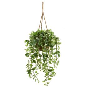 Wandering Jew Plant in Hanging Basket (Real Touch)