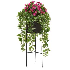 Azalea Wandering Jew Plant in Stand Black Planter