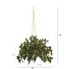 Hanging Melon Plant UV Rest (Indoor/Outdoor) (Set of 2)