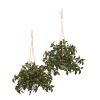Hanging Melon Plant UV Rest (Indoor/Outdoor) (Set of 2)