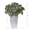 Rex Begonia Artificial Plant in Planter