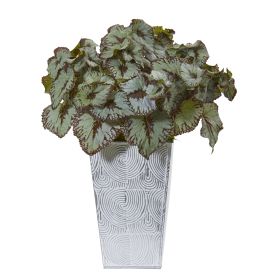 Rex Begonia Artificial Plant in Planter