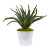 Aloe Artificial Plant in White and Tin Embossed Planter