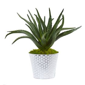 Aloe Artificial Plant in White and Tin Embossed Planter