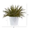 Aloe Artificial Plant in White Embossed Planter