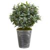 Olive with Berries Plant in Planter with Black Pattern