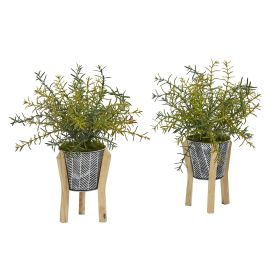 Rosemary Plant in Tin Planter with Legs (Set of 2)