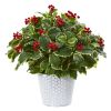 Variegated Holly Leaf Plant in Planter (Real Touch)