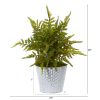 Fern Artificial Plant in Embossed White Tin Planter