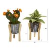 Mixed Succulent Plant in Planter with Legs (Set of 2)
