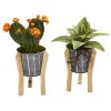 Mixed Succulent Plant in Planter with Legs (Set of 2)