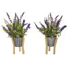 Lavender Plant in Tin Planter with Legs (Set of 2)
