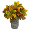 Croton Plant in Planter with Black Pattern (Real Touch)
