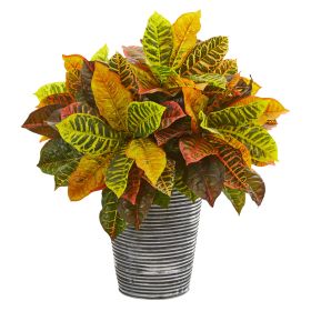 Croton Plant in Planter with Black Pattern (Real Touch)