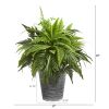 Mixed Greens and Fern Plant in Tin Planter with Pattern