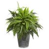 Mixed Greens and Fern Plant in Tin Planter with Pattern
