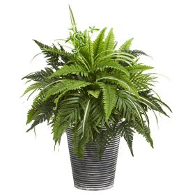Mixed Greens and Fern Plant in Tin Planter with Pattern