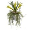 Staghorn and Tillandsia Plant in Vintage Hanging Pail