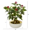 Holly Leaf Plant in Gold and Cream Vase (Real Touch)