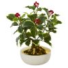 Holly Leaf Plant in Gold and Cream Vase (Real Touch)