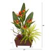 Bird of Paradise Succulent and Fern Plant in Planter