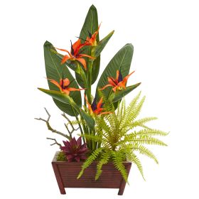 Bird of Paradise Succulent and Fern Plant in Planter