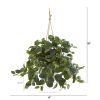 Fittonia Artificial Plant in Hanging Metal Bucket
