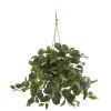 Fittonia Artificial Plant in Hanging Metal Bucket