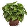 Taro Artificial Plant in Decorative Planter