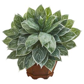 Silver Aglaonema Plant in Planter (Real Touch)