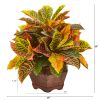 Garden Croton Plant in Decorative Planter (Real Touch)