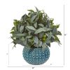 Olive Branch Plant with Berries in Blue Planter
