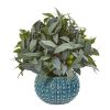 Olive Branch Plant with Berries in Blue Planter