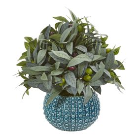 Olive Branch Plant with Berries in Blue Planter