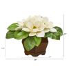 Magnolia Artificial Plant in Decorative Planter