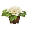 Magnolia Artificial Plant in Decorative Planter