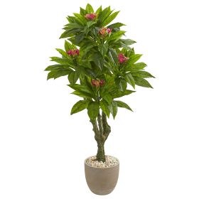 Plumeria Tree in Decorative Planter UV Resistant