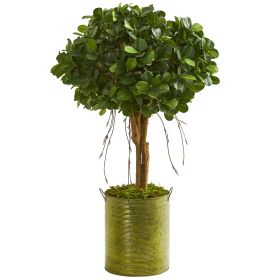 Ficus Artificial Tree in Green Metal Planter