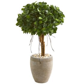 Ficus Artificial Tree in Sand Colo Red Planter