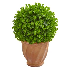 Eucalyptus Artificial Ball in Terra Cotta Planter