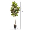 Varigated Rubber Leaf Artificial Tree (Real Touch)