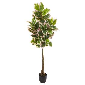 Varigated Rubber Leaf Artificial Tree (Real Touch)