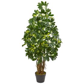 Schefflera Artificial Tree