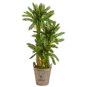 Triple Cycas Artificial Plant in Farmhouse Planter