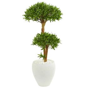 Bonsai Styled Podocarpus Artificial Tree in White Planter