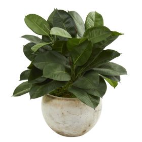 Artificial Rubber Plant in Stone Planter